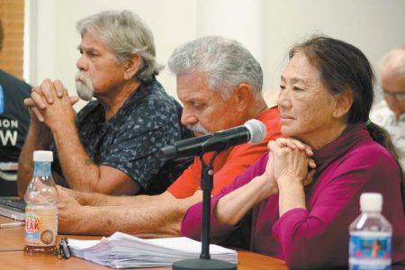 Groups intervene on resort expansion
